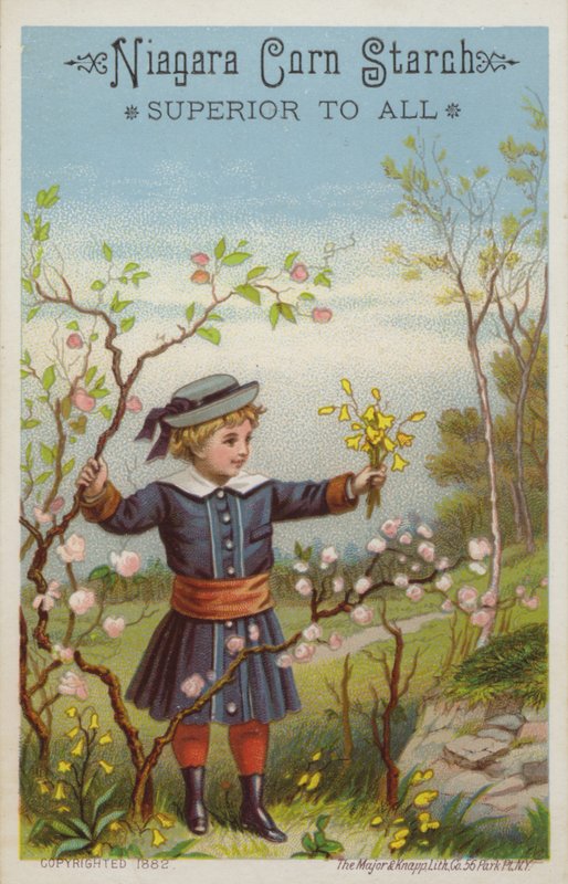 Flicka som håller blommor på landsbygden av American School