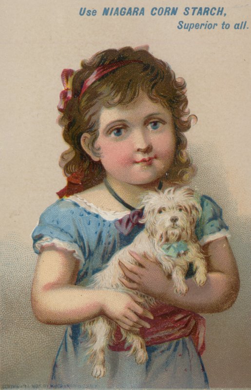 Flicka som håller en liten hund i famnen av American School