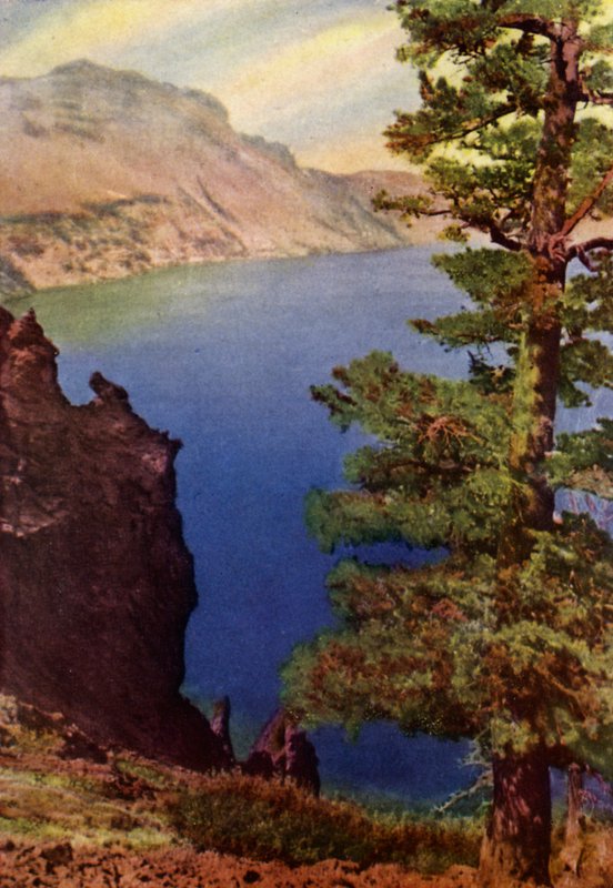 Glacier National Park (färg litho) av American School