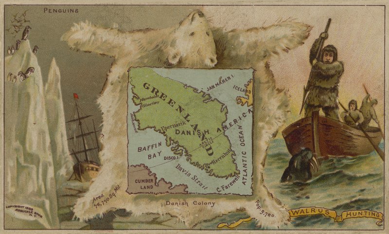 Grönland, pingviner, isbjörnar och valrossjakt (kromolit) av American School