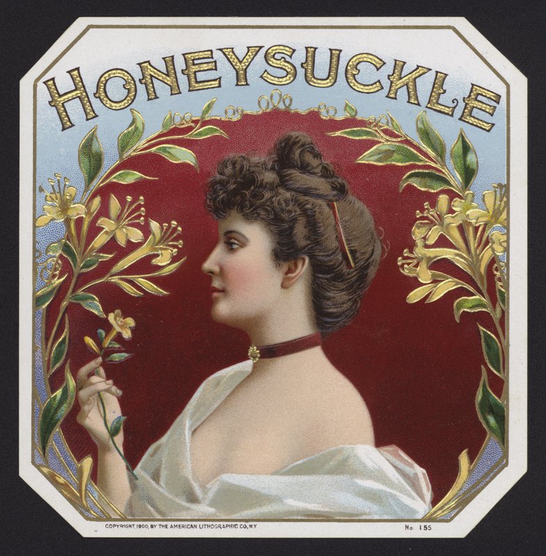 Kaprifol (chromolitho) av American School