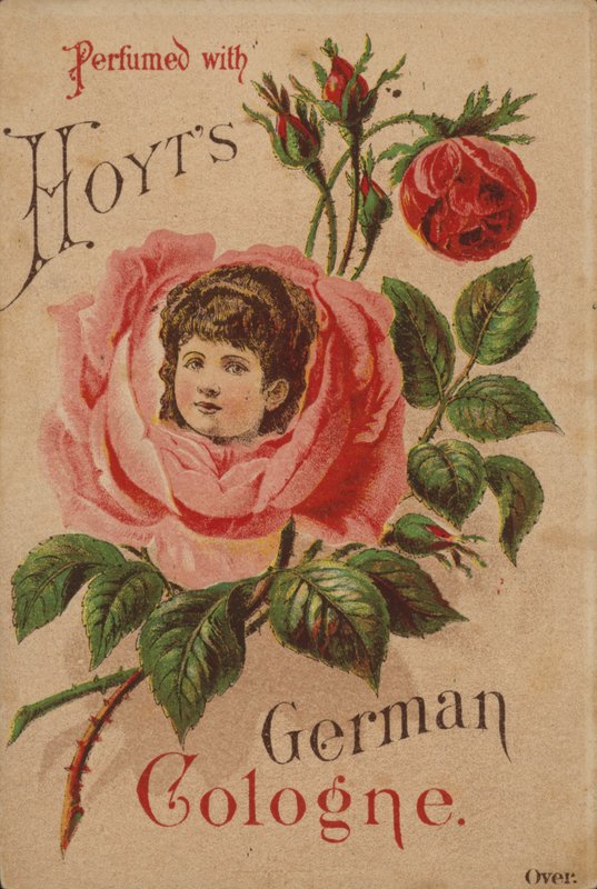 Hoyts tyska Köln av American School