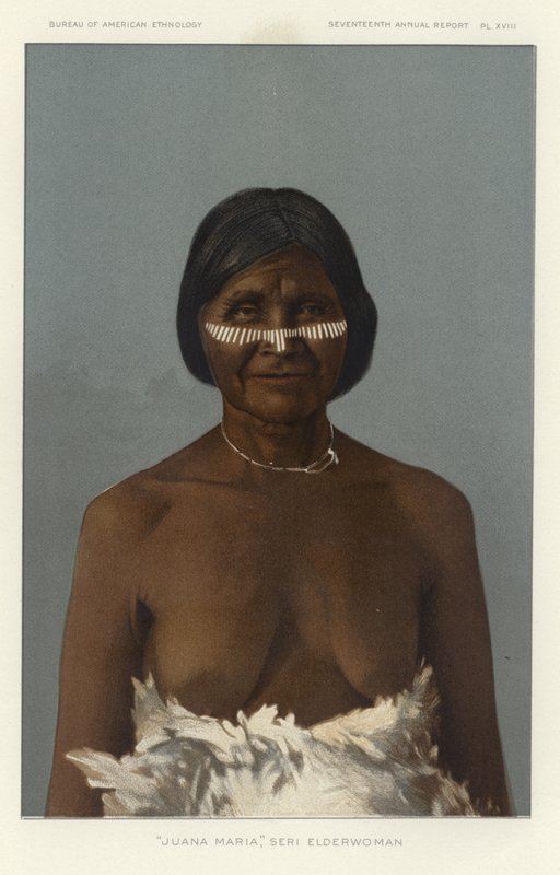 Juana Maria, Elderwoman-serien av American School