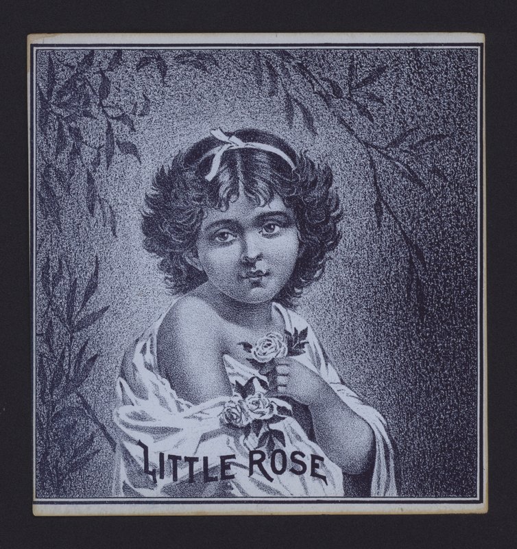 Little Rose, cigarretikett (litho) av American School