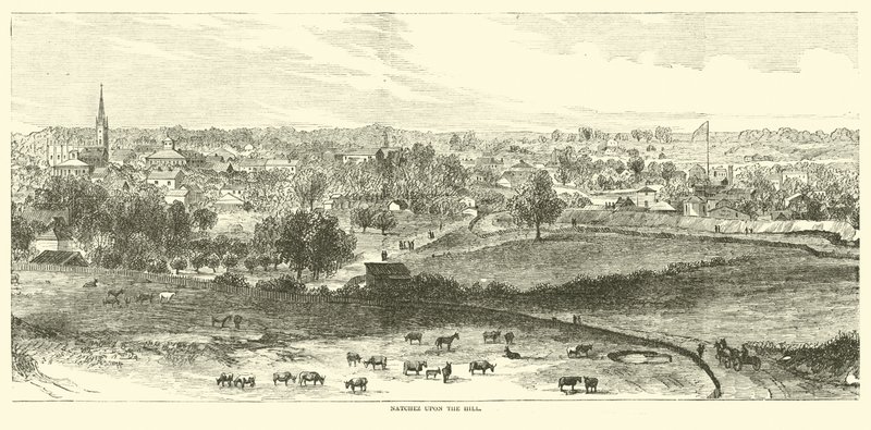 Natchez upon the hill, maj 1862 av American School