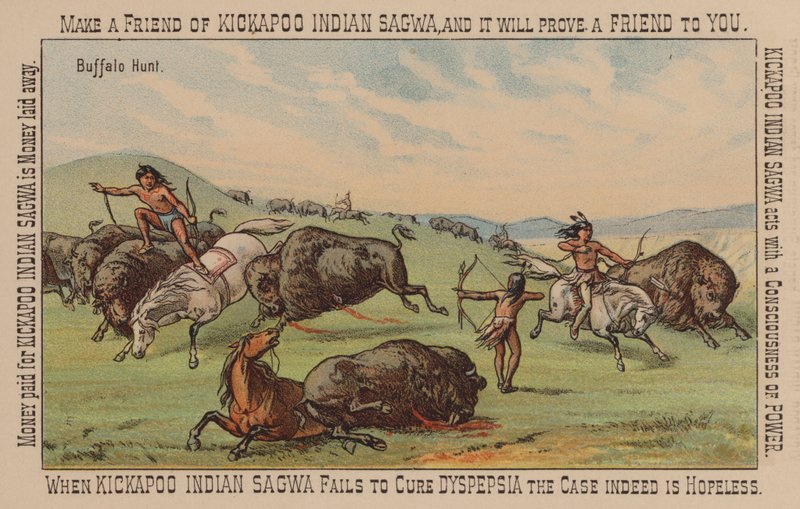 Indian jagar buffel av American School