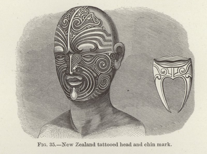 Nya Zeeland tatuerade huvud- och hakmärke av American School