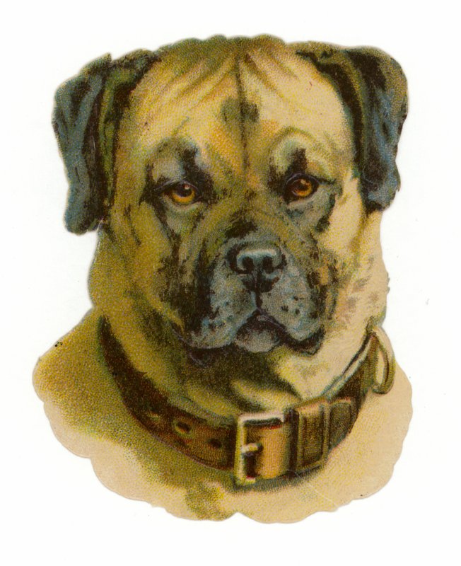 Rottweiler hundhuvud av American School