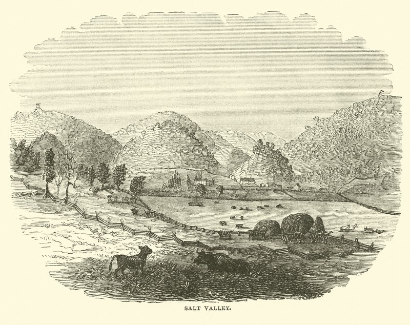 Saltdalen, december 1864 av American School