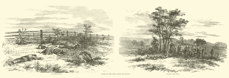 Scener på fältet efter slaget, september 1862 av American School