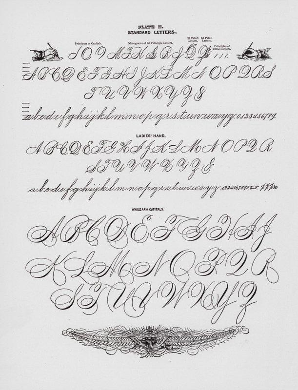 Standardbokstäver; Damernas hand; Helarmshuvuden (gravyr) av American School