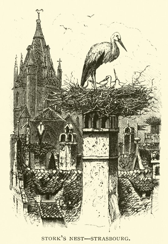 Storkbo, Strasbourg av American School