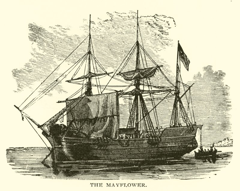 Majblomman av American School