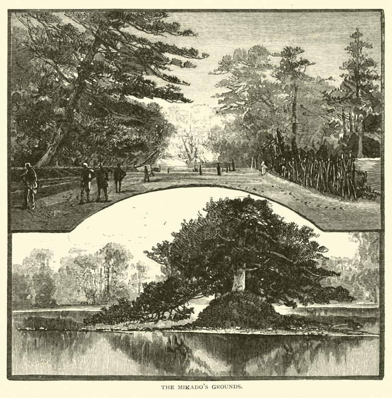 Mikados Grounds av American School