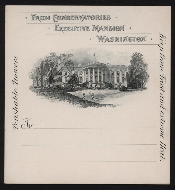 Vita huset, Washington DC, USA (litho) av American School