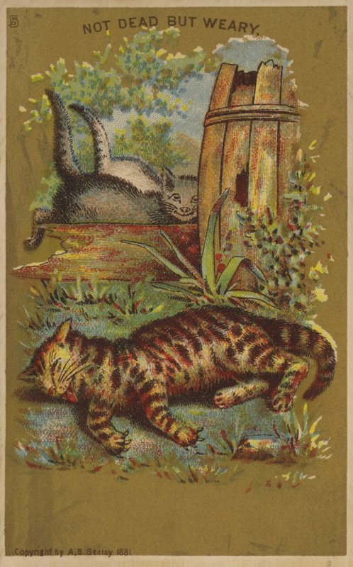 Tre trötta katter. av American School