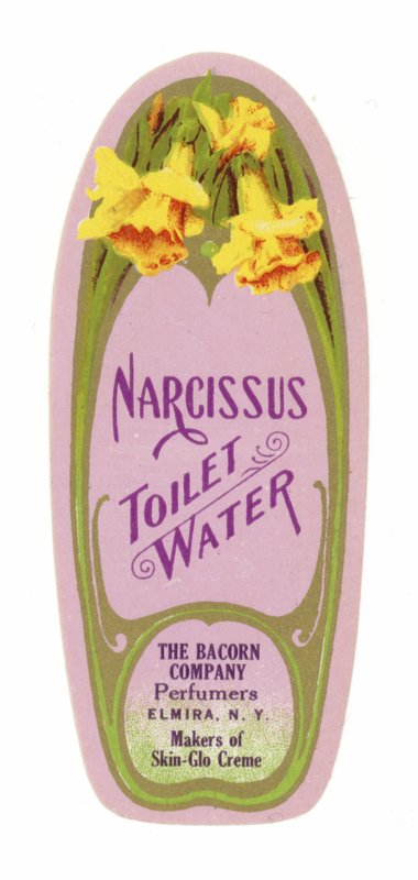 Toalettvattenetikett, Narcissus av American School