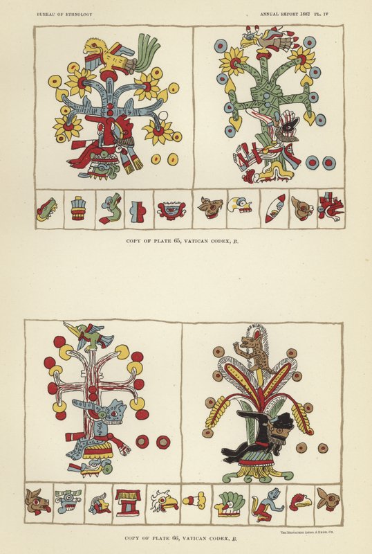 Vatikanens Codex av American School