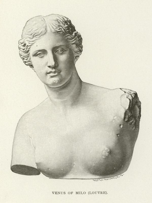 Venus från Milo, Louvren av American School