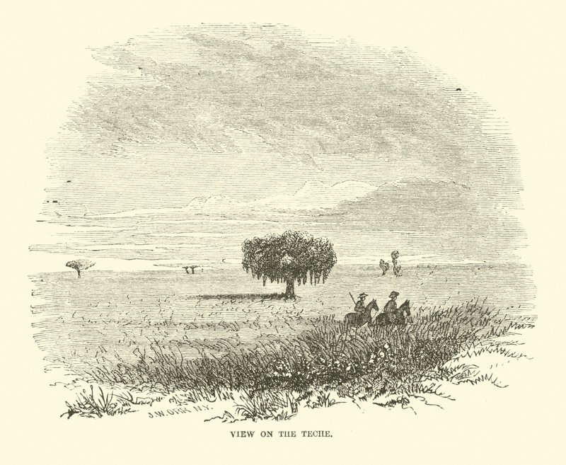 View on the Teche, april 1863 av American School