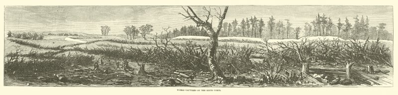 Verk fångade av sjätte kåren, april 1865 av American School