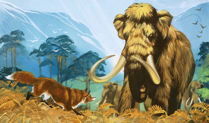 Räv attackerar mammut av Angus McBride