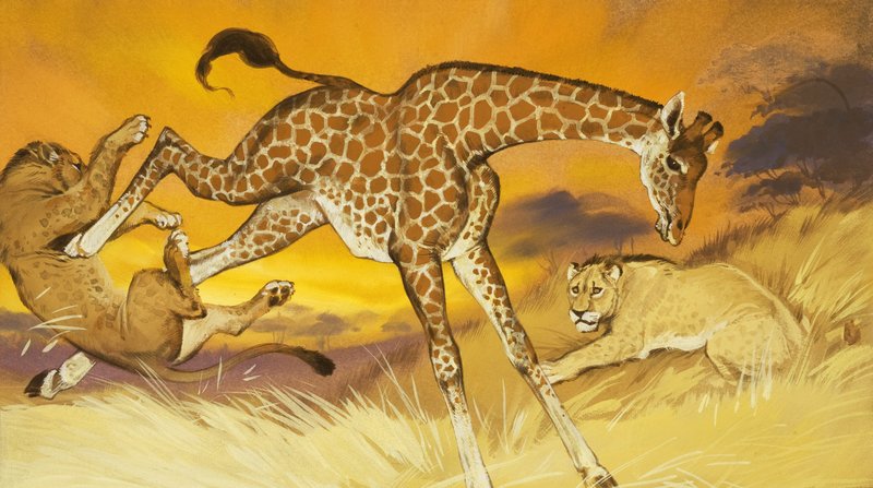 Giraff sparkar lejon av Angus McBride