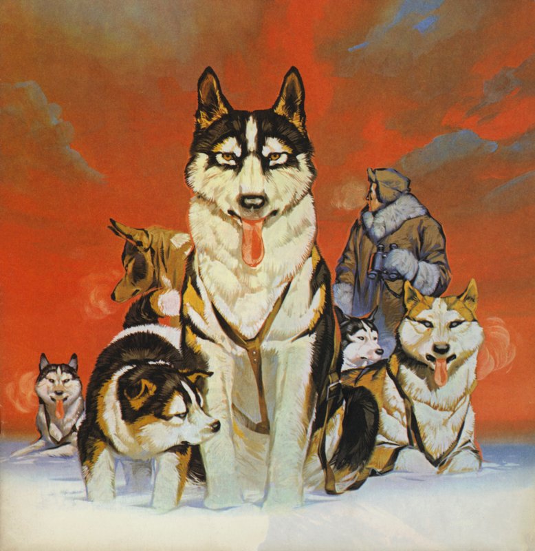 Huskies (färglitografi) av Angus McBride