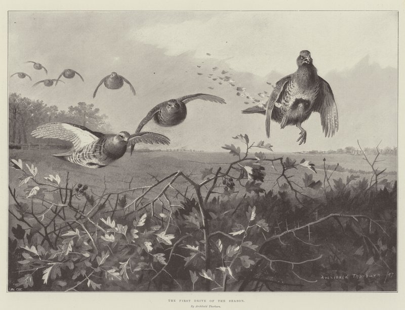 Säsongens första biltur av Archibald Thorburn