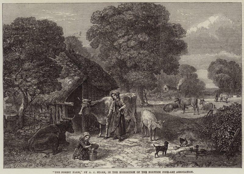 Skogsgården av Arthur J. Stark