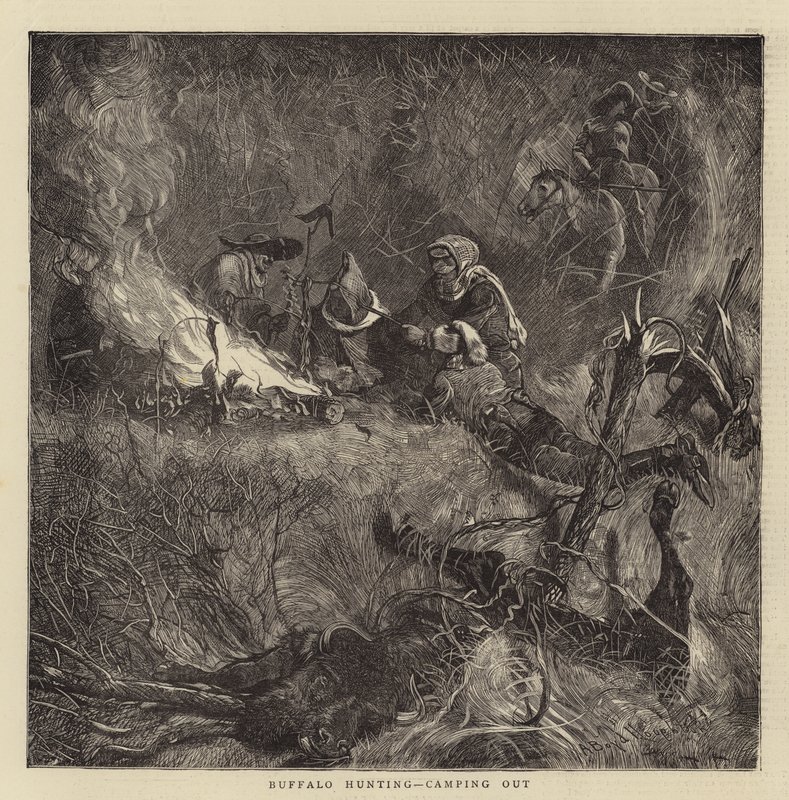 Buffeljakt, camping ute av Arthur Boyd Houghton