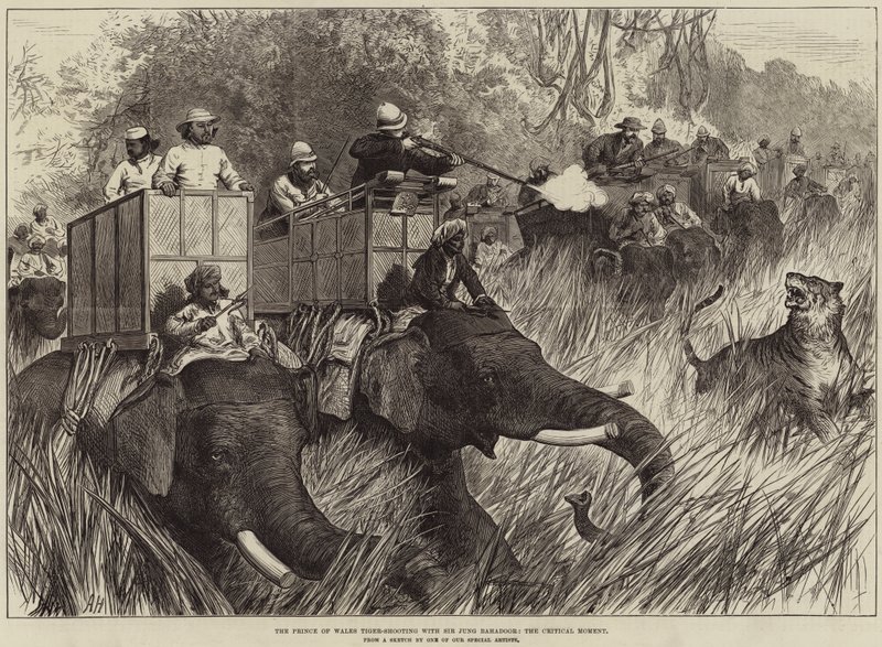 Prince of Wales Tiger-Shooting med Sir Jung Bahadoor, det kritiska ögonblicket av Arthur Hopkins