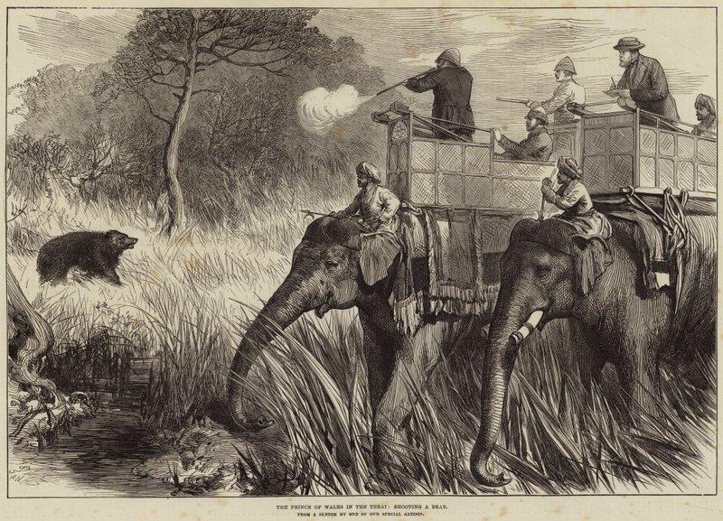 Prinsen av Wales i Terai och skjuter en björn av Arthur Hopkins