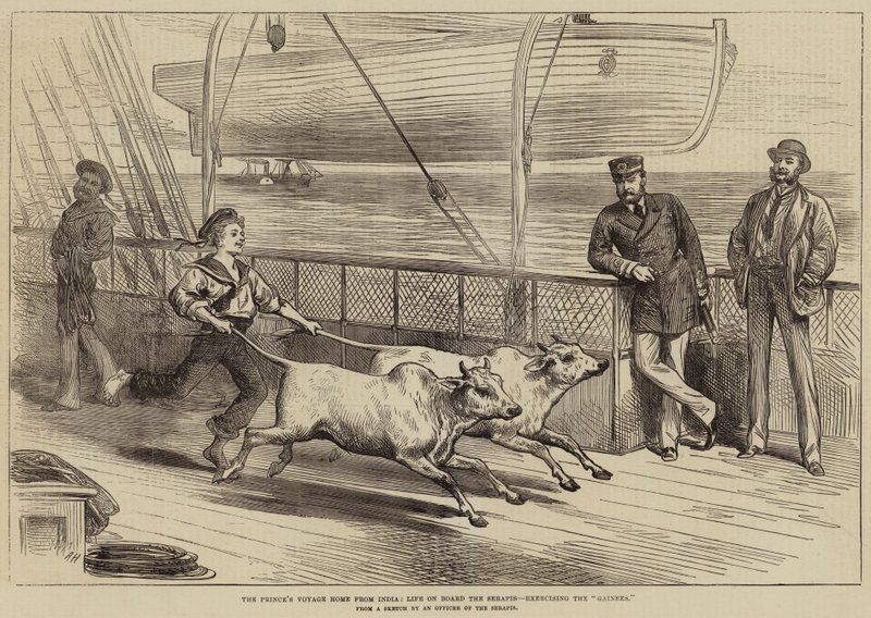 Prinsens resa hem från Indien, livet ombord på Serapis, utövandet av Gainees av Arthur Hopkins