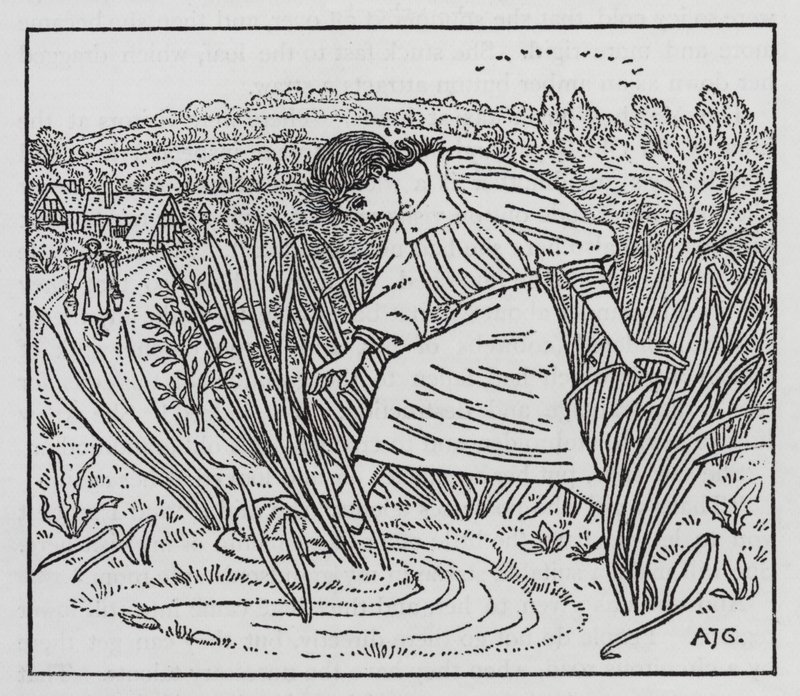 HC Andersen: Flickan som trampade på limpan (litho) av Arthur Joseph Gaskin
