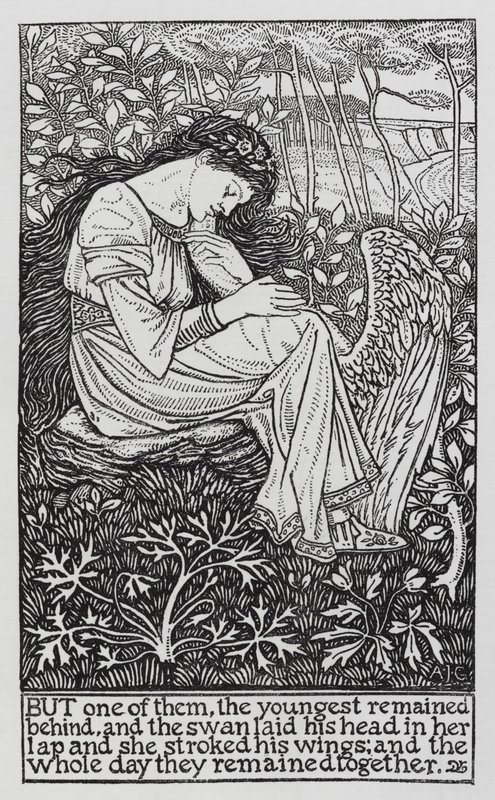Hans Christian Andersen: De vilda svanarna (litho) av Arthur Joseph Gaskin