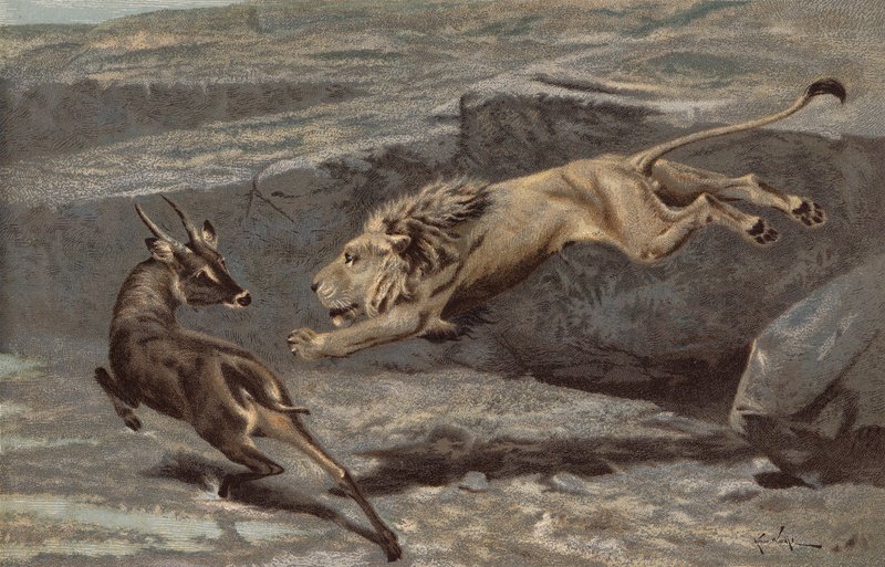 En nattlig attack (chromolitho) av Arthur Wardle