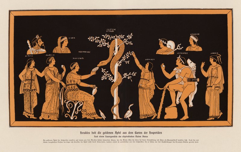 Herakles stjäl de gyllene äpplena från Hesperidernas trädgård (färglitografi) av Asteas Asteas