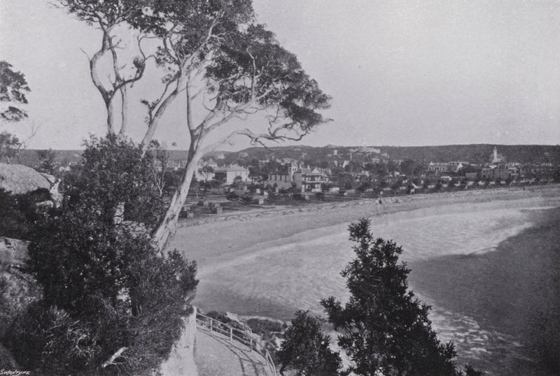 Sydney, NSW: Manly Beach (s/v foto) av Australian Photographer