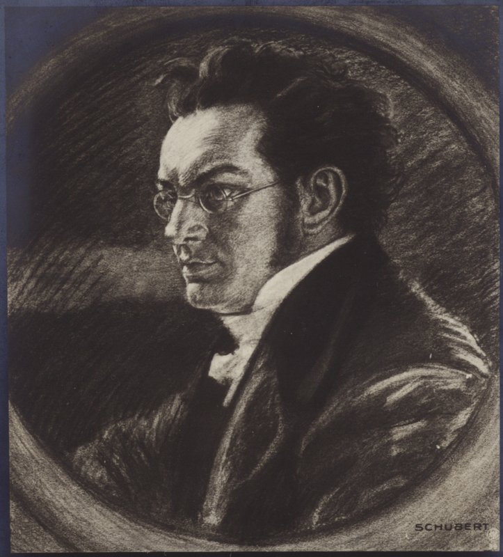 Porträtt av Franz Schubert av Austrian School