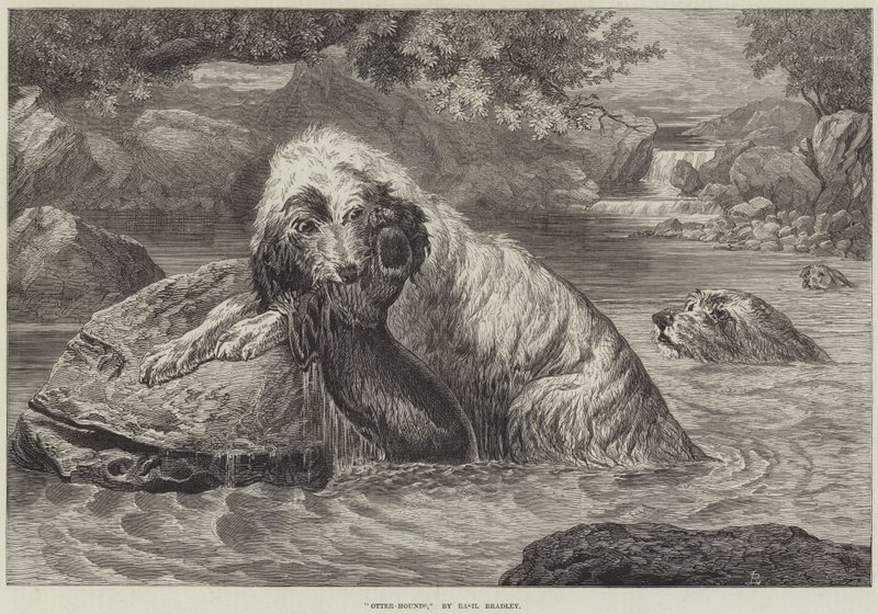 Otter-Hounds av Basil Bradley