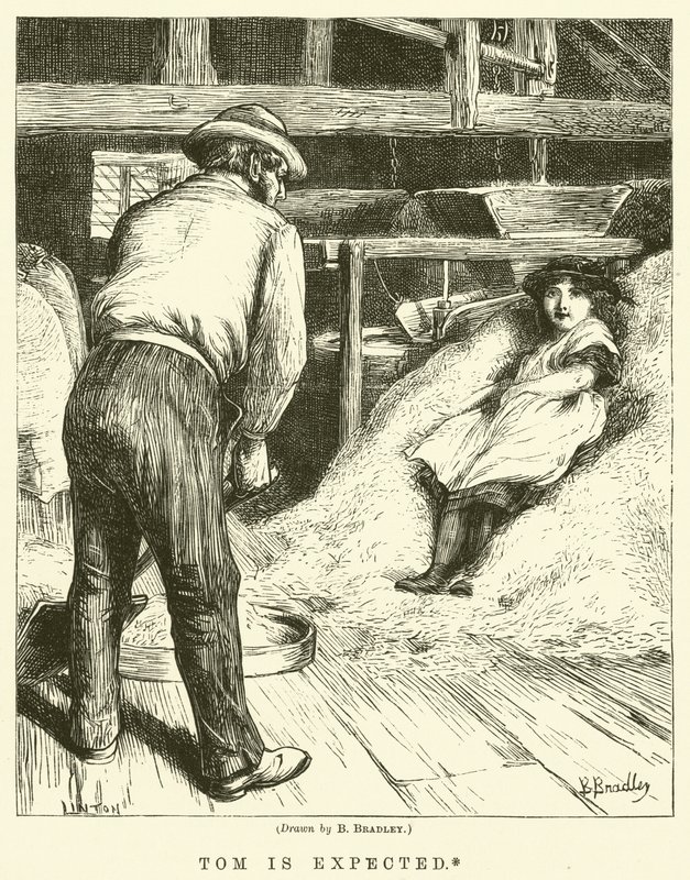 Tom väntas av Basil Bradley