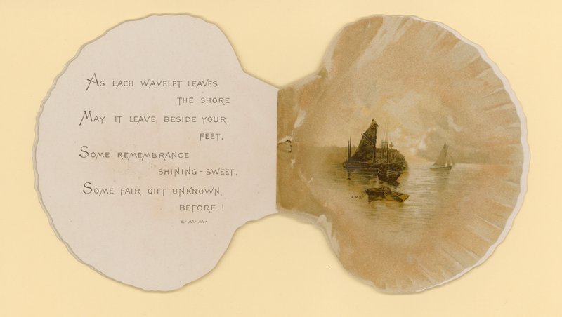 Illustration till häftet med titeln Sea Shells (color litho) av Benjamin D. Sigmund