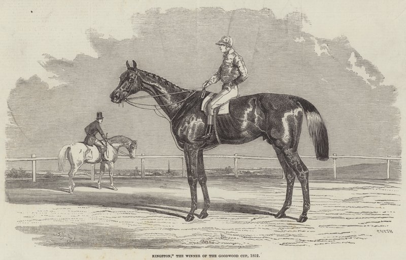 Kingston, vinnaren av Goodwood Cup, 1852 av Benjamin Herring