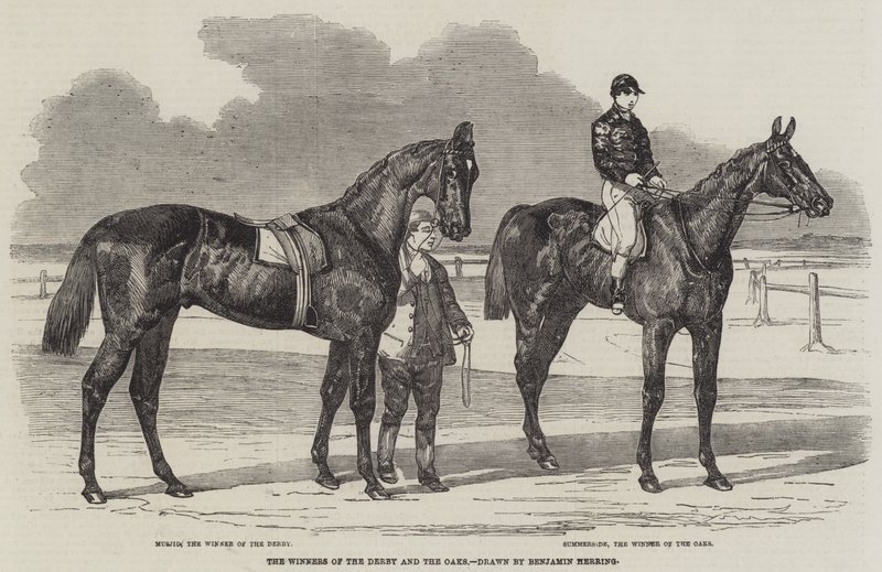 Vinnarna av Derby och Oaks av Benjamin Herring