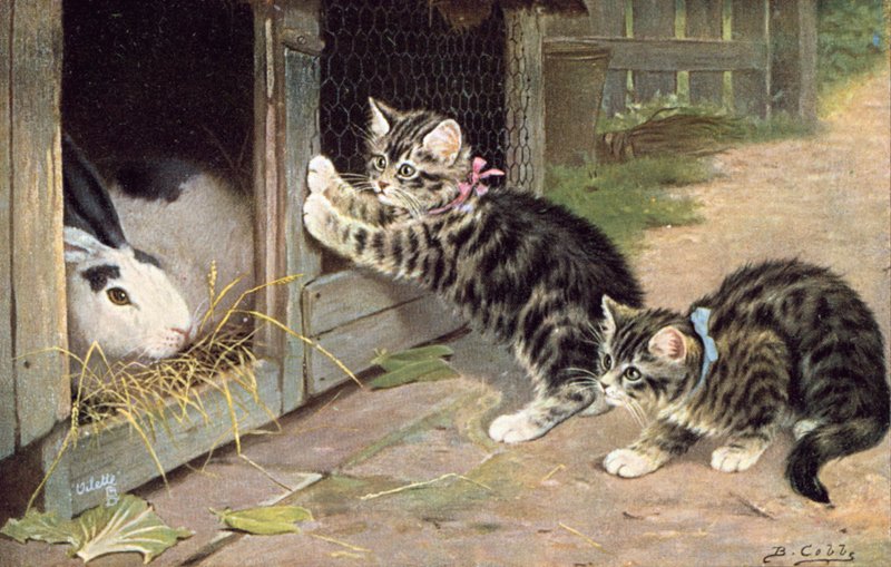 Vykort med katt (färglitografi) av Bernard Cobbe