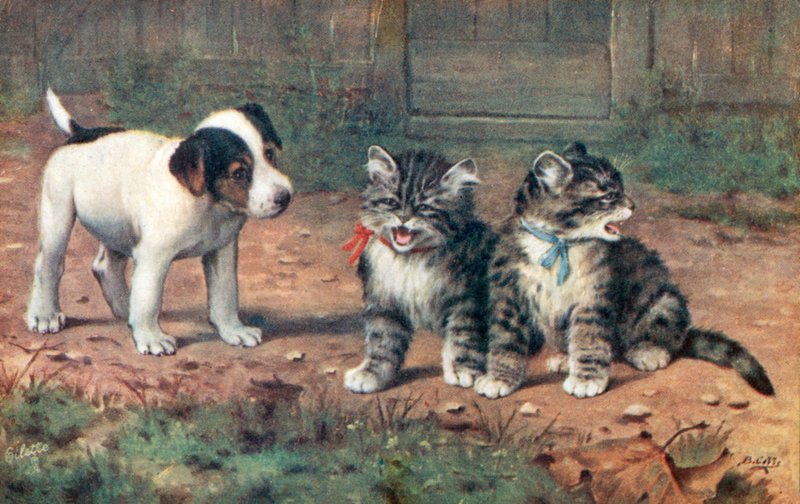 Vykort med katt (färglitografi) av Bernard Cobbe