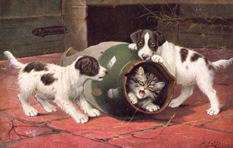 Vykort med katt (färglitografi) av Bernard Cobbe