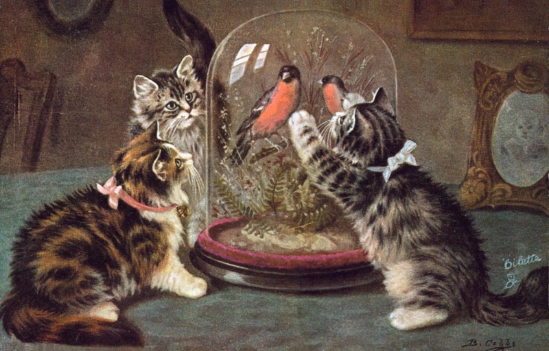 Vykort med katt (färglitografi) av Bernard Cobbe