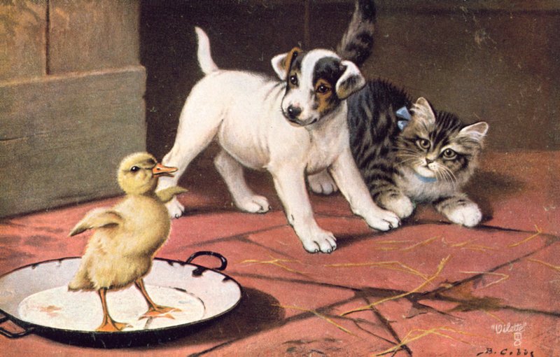 Vykort med katt (färglitografi) av Bernard Cobbe